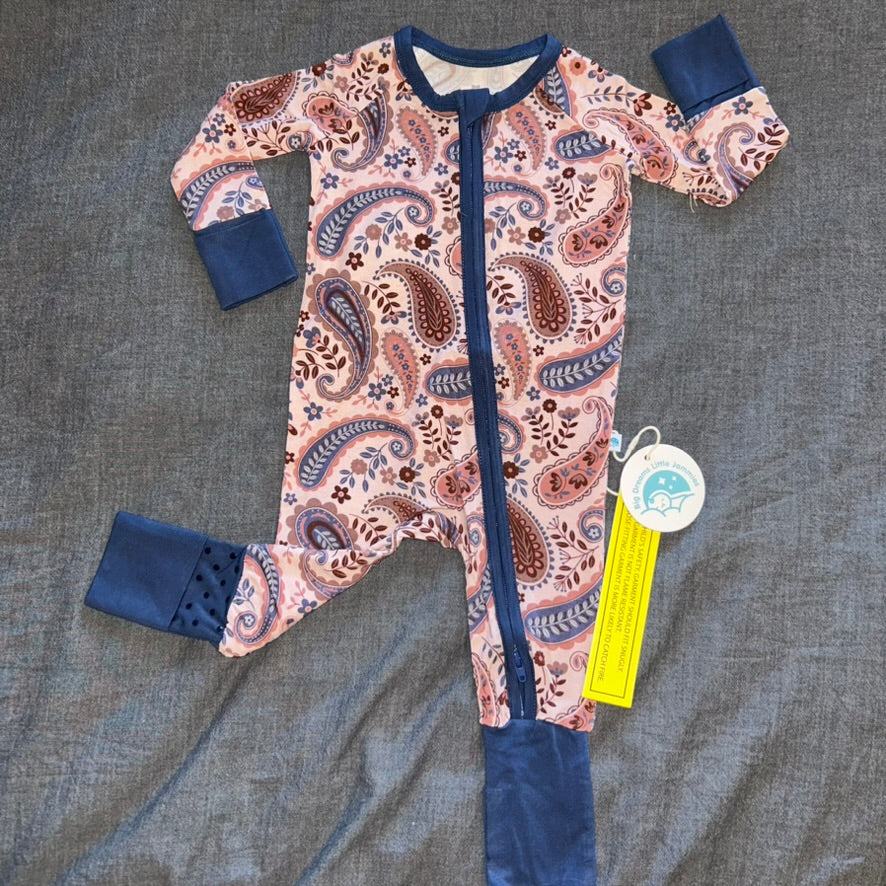 Pretty in Paisley Convertible Zippy
