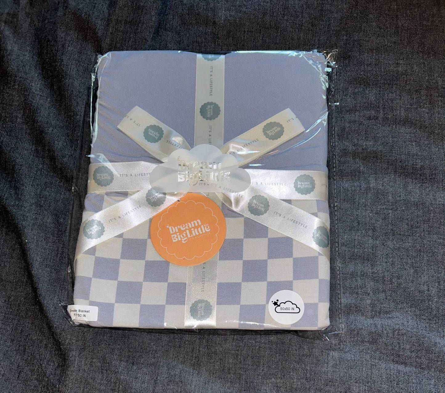 Cloudy Checkers Toddler Blanket