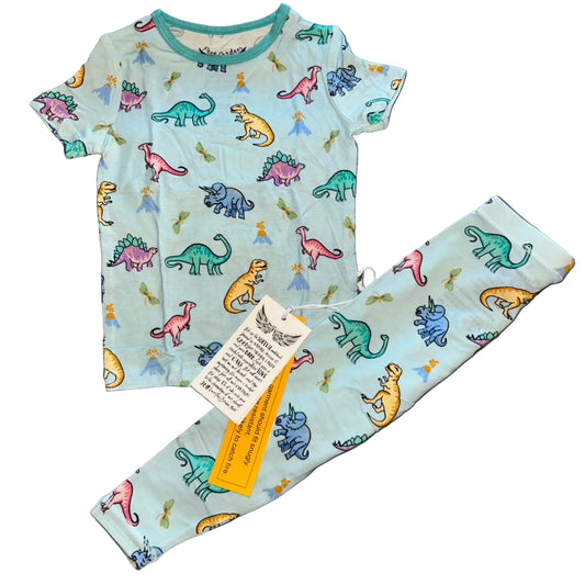Rawr Your World Dinos & Dragonflies Short Sleeve Set