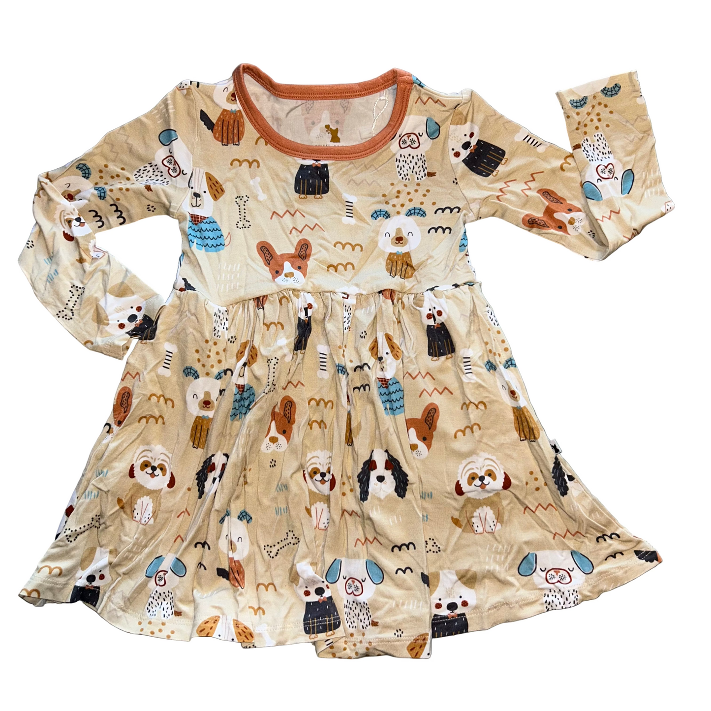 Pajama Pawty Long Sleeve Twirl Dress