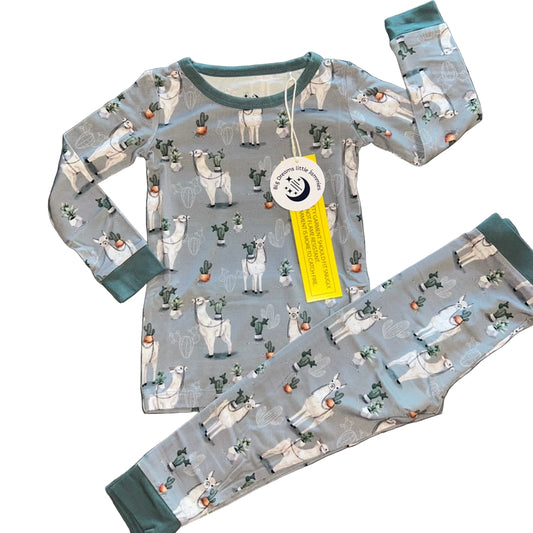 Prickly Llama Long Sleeve Set