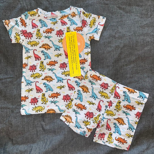 Color Me Dino Shorts Set