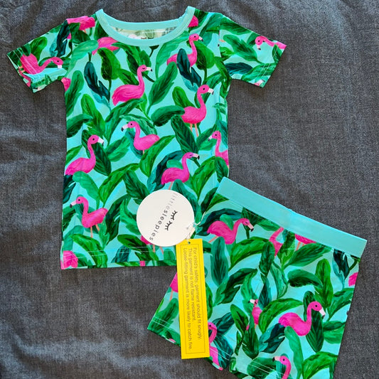 Palm Springs Shorts Set