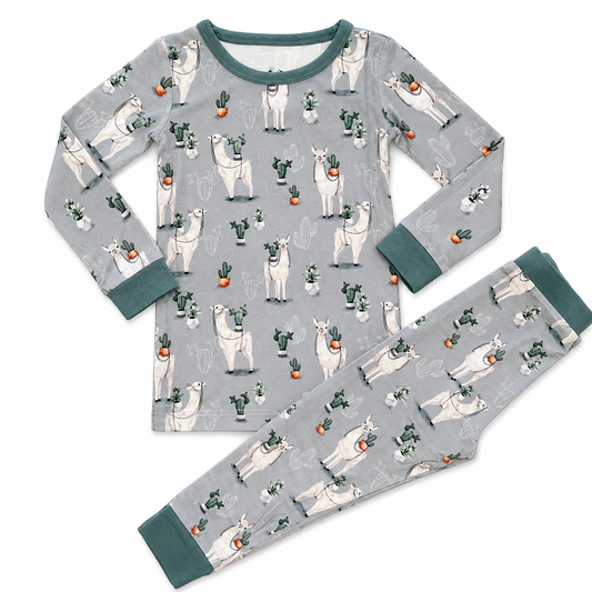 Prickly Llama Long Sleeve Set