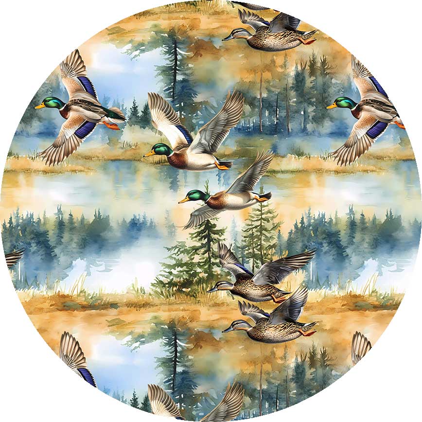 In Flight Long Sleeve Set